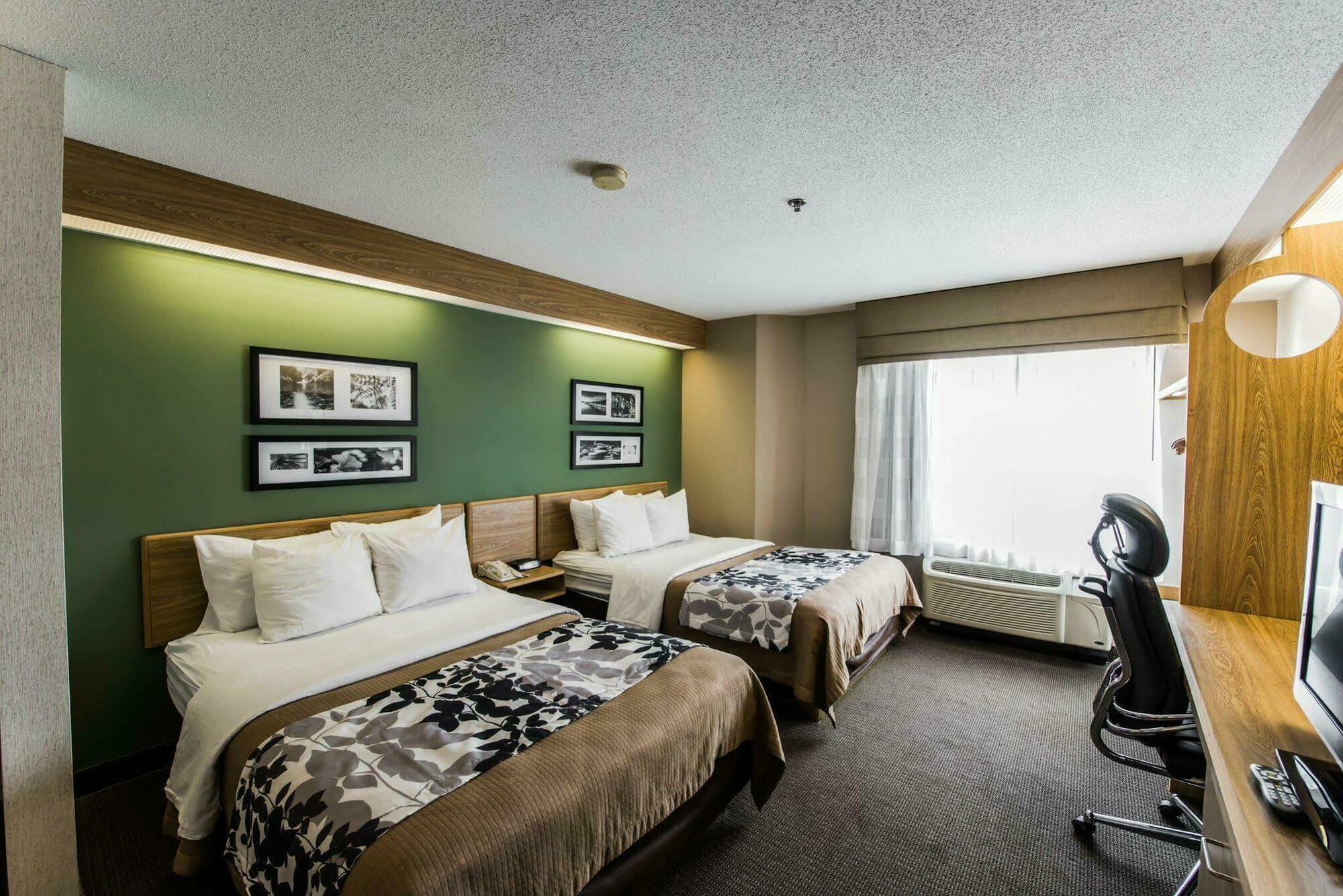 Sleep Inn & Suites Johnson City Dış mekan fotoğraf